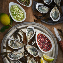 Load image into Gallery viewer, No.9 Oyster Knife with Paddock Handle - Opinel