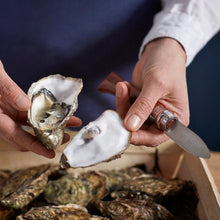 Load image into Gallery viewer, No.9 Oyster Knife with Paddock Handle - Opinel