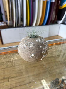 Barnacle Ball Vase - Downeaster Pottery
