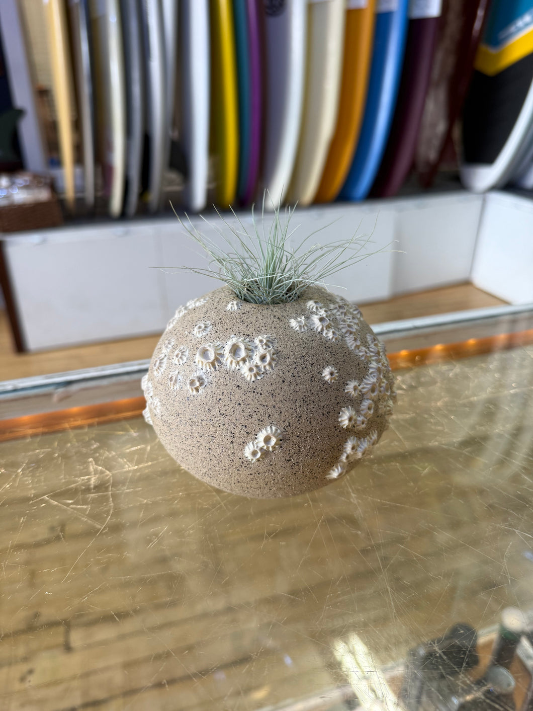 Barnacle Ball Vase - Downeaster Pottery
