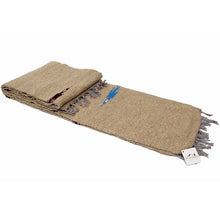 Load image into Gallery viewer, Sand and Stone Baja Thunderbird Blanket