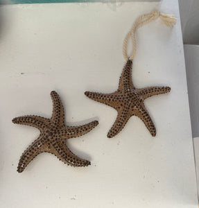 Sea star - Downeaster Pottery