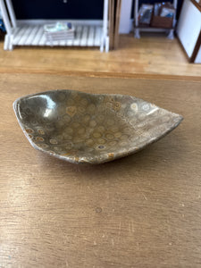 Fossil Bowl