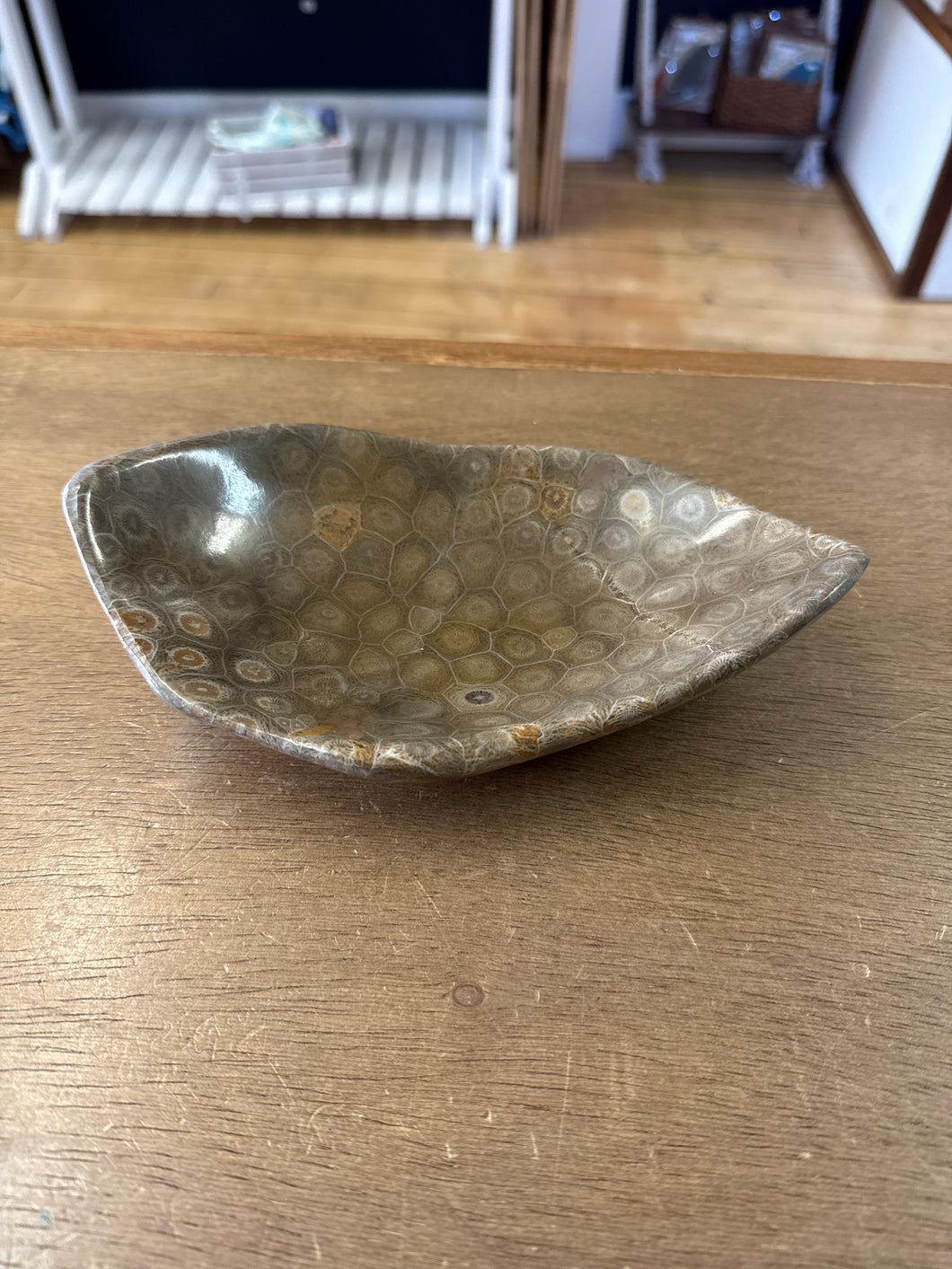 Fossil Bowl