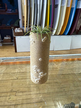 Load image into Gallery viewer, Barnacle Pillar - Downeaster Pottery