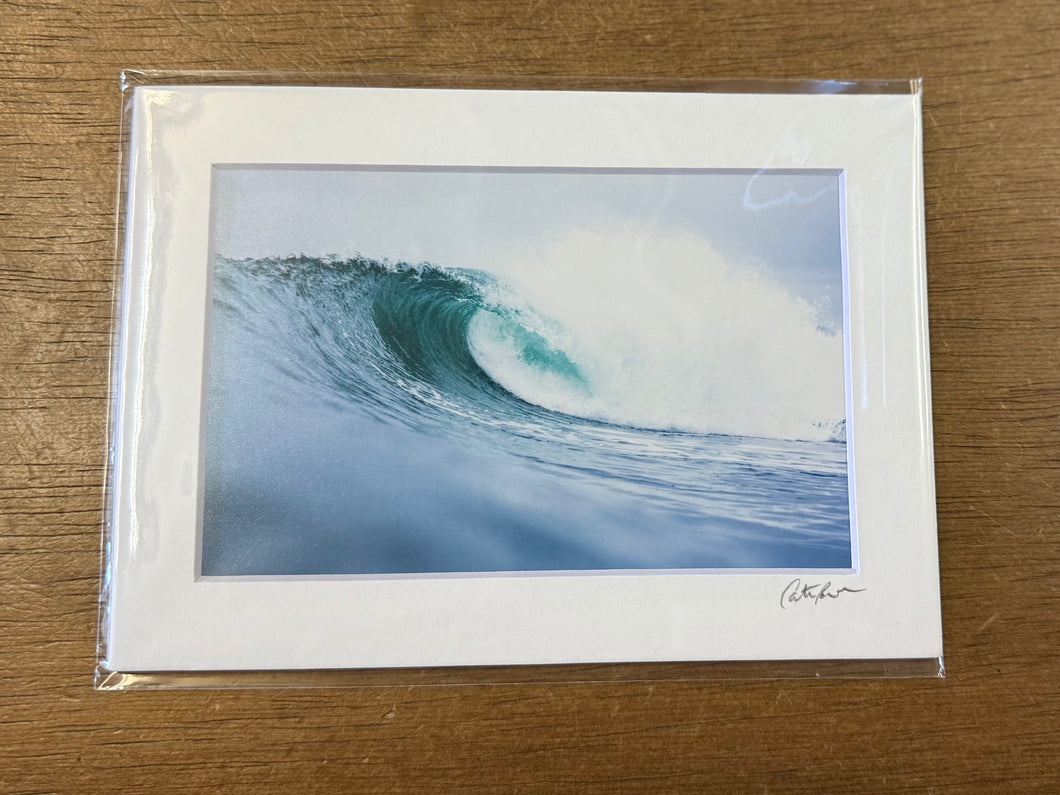 #3141 Print - Cate Brown Photography