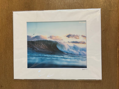 #3183 Print  - Cate Brown Photography