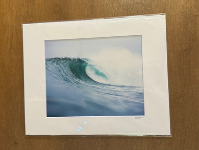 #3179 Print  - Cate Brown Photography