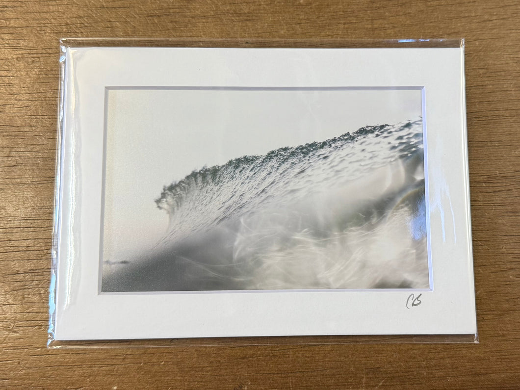 #3137 Print - Cate Brown Photography