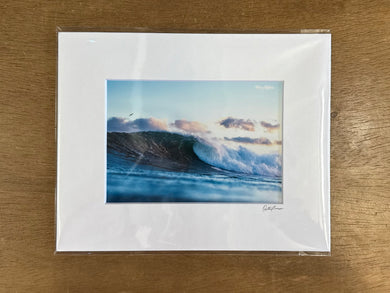 #3160 Print - Cate Brown Photography