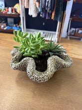 Load image into Gallery viewer, Concrete Coral Planter - Wrinkle