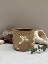 Load image into Gallery viewer, Barnacle Tumblers - DownEaster Pottery