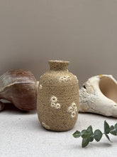 Load image into Gallery viewer, Mini Bud Vase (Barnacle) - Downeaster Pottery