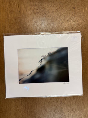 #3104 Print - Cate Brown Photography