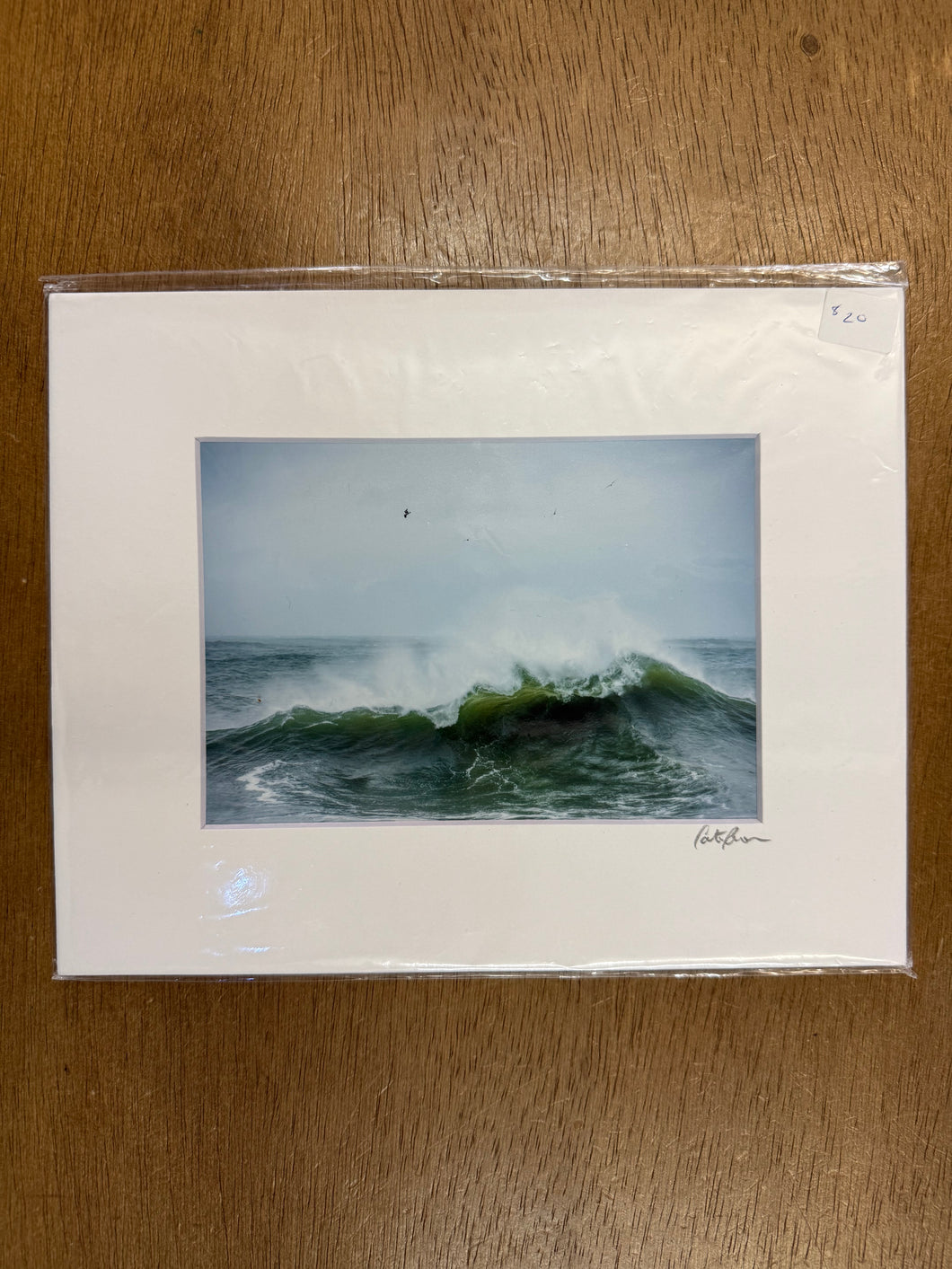 #3056 Print - Cate Brown Photography