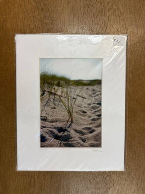 #2227 Print - Cate Brown Photography