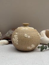 Load image into Gallery viewer, Barnacle Round Jar - DownEaster Pottery