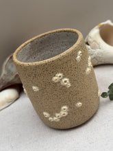 Load image into Gallery viewer, Barnacle Tumblers - DownEaster Pottery