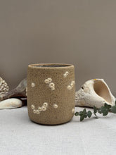 Load image into Gallery viewer, Barnacle Tumblers - DownEaster Pottery