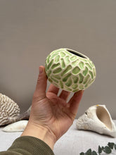 Load image into Gallery viewer, Misquamicuit Green Round Vase - DownEaster Pottery
