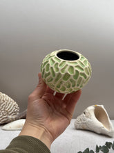 Load image into Gallery viewer, Misquamicuit Green Round Vase - DownEaster Pottery