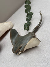 Load image into Gallery viewer, Bat Ray - DownEaster Pottery