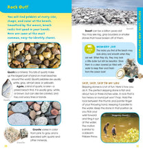 Load image into Gallery viewer, Walk on the Beach by Laurie Goldman: Novelty; 112 pages / English