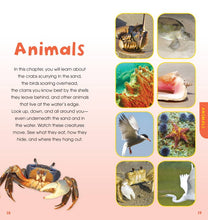 Load image into Gallery viewer, Walk on the Beach by Laurie Goldman: Novelty; 112 pages / English