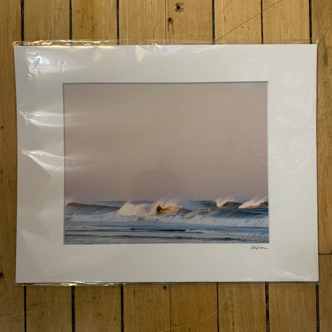 #2556 Print  - Cate Brown Photography