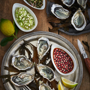 No.9 Oyster Knife with Paddock Handle - Opinel